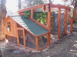 Could use this chicken coop idea for cat enclosure
