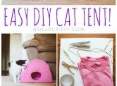 DIY Cat Tent for Kitties Who Play Hard