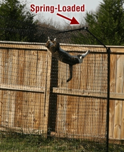 -Proof Cat Containment System