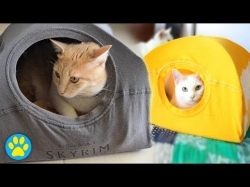 DIY Cat Tent