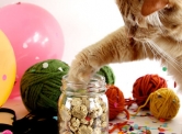 http://www.designsponge.com/2013/03/in-the-kitchen-with-joy-the-bakers-crunchy-cat-treats.html