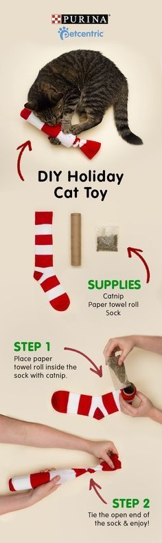 Sock catnip