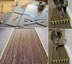 scratcher diy