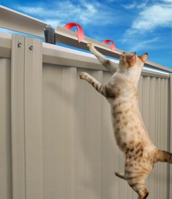 Cat Proof Fencing