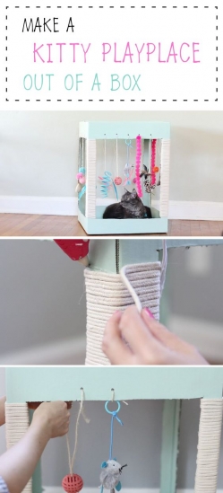 Your cat will LOVE this adorable DIY