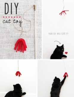 DIY homemade cat toy