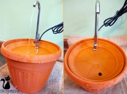 DIY Fonte para gato - fácil e prática!