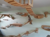 Cat labyrinth by Goldtatze