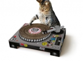 Cat turntable
