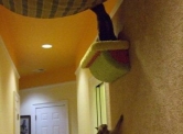 climbing wall with shelf and hammock